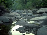 G01I0031.JPG