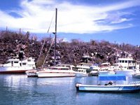 G01I0060.JPG