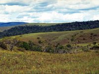 G01I0076.JPG