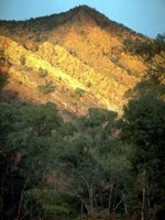 G01I0084.JPG