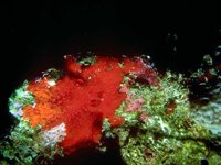 H01B0047.JPG