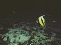 H03D0009.JPG