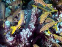 H03D0020.JPG