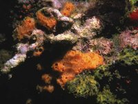 H03D0045.JPG