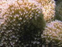H03D0048.JPG