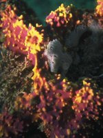 H03D0060.JPG