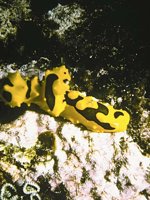 H03D0067.JPG