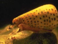 H03D0073.JPG