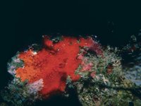 H03D0074.JPG