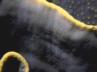 H03D0075.JPG