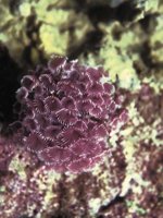H03D0077.JPG