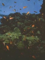 H03D0079.JPG