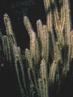 H03D0080.JPG