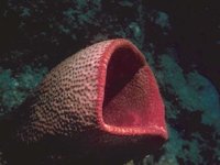 H03D0085.JPG