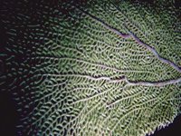 H03D0087.JPG