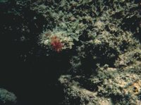 H03D0088.JPG