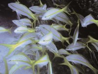 H03D0089.JPG