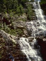 F11B0018.JPG