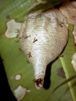 F11B0023.JPG