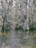 F11B0040.JPG