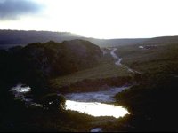 F11B0045.JPG