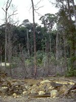 F11B0072.JPG