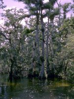 F11B0078.JPG