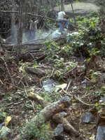 F11B0082.JPG