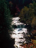 G02C0005.JPG