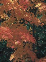 G02C0034.JPG