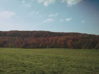 G02C0039.JPG
