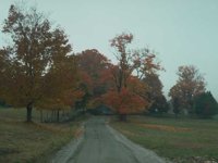 G02C0051.JPG
