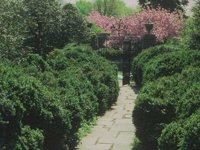 G02C0072.JPG