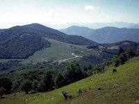 G07L0045.JPG