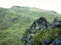 G07L0064.JPG