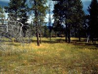 G07L0076.JPG