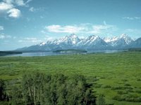 G07L0082.JPG