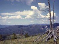 G07L0098.JPG