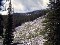 G07L0100.JPG
