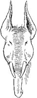 Demopublican Emblem.tif