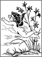 Cherub Flying.tif