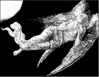 Female Angel Sleeping.tif