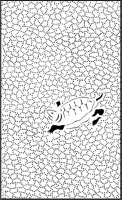 Turtle and Pebbles Design.tif