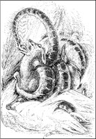 Emperor Boa and Prey.tif