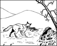 Fox and Crab.tif