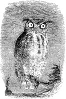 Horned Owl with Mouse.tif