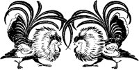 Rooster Confrontation.tif