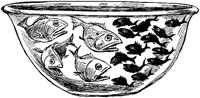 Warring Fish in Bowl.tif