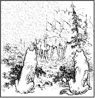 Wolves Watching Caribou.tif