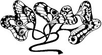 Butterfly Plant.tif